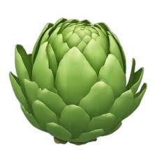 Vegetable names in Hindi and English  Artichoke