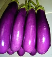 Vegetable names in Hindi and English Brinjal