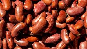 Vegetable names in Hindi and English   Kidney Beans