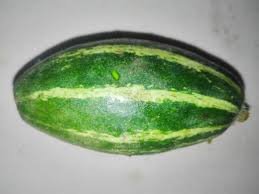 Vegetable names in Hindi and English Pointed Gourd