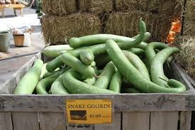 Vegetable names in Hindi and English Snake Gourd