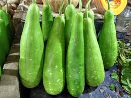 Vegetable names in Hindi and English bottle gourd