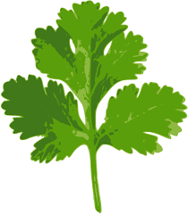 vegetable names Hindi English -Coriander Leaf